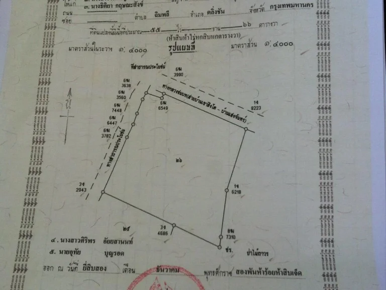 ขายสวนยาง55 ไร่