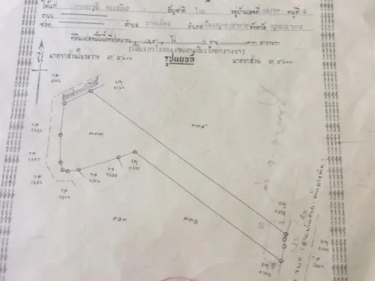 ขายทีีดิน29ไร่กว่าราคาไม่เเพงในเขตเทศบาลเมืองท่าผา