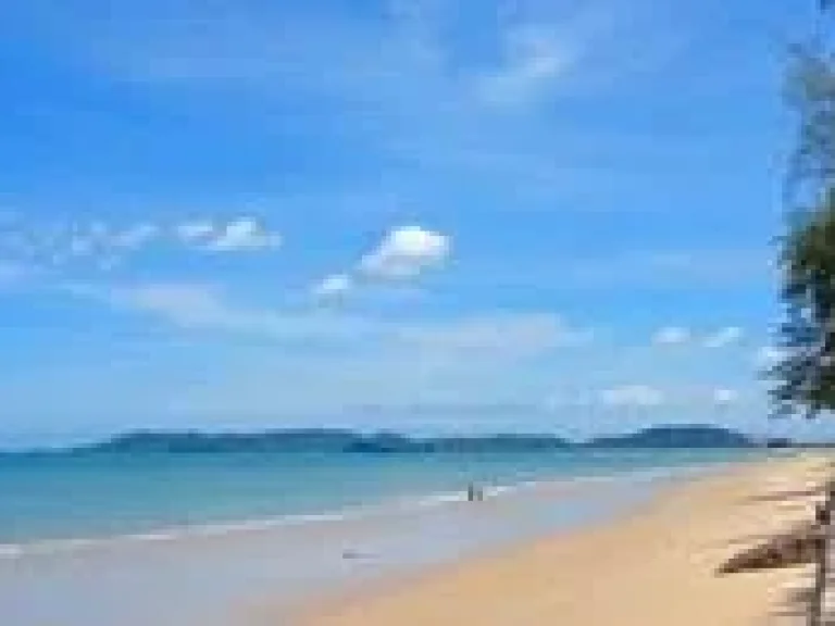 ขายที่ดินทำเลดี ริมทะเลหาดแม่พิมพ์โฉนด 8 ไร่