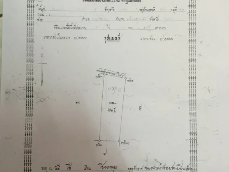 ขายที่ดินเปล่าในซอยโพธารส 1 ไร่ 19 ตรว ในเขตเทศบาลเมืองชุมพร