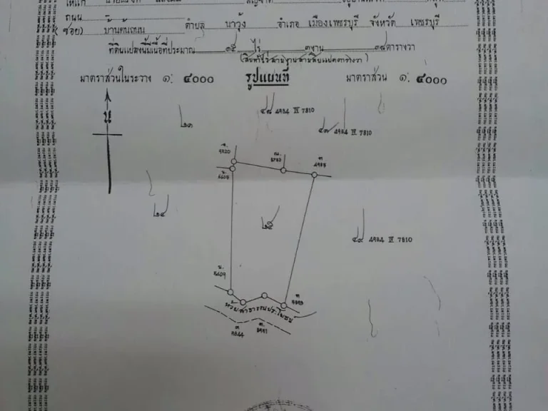 ขายที่สวนสับปะรด27ไร่ติดกับโครงการหลวงชั่งหัวมัน