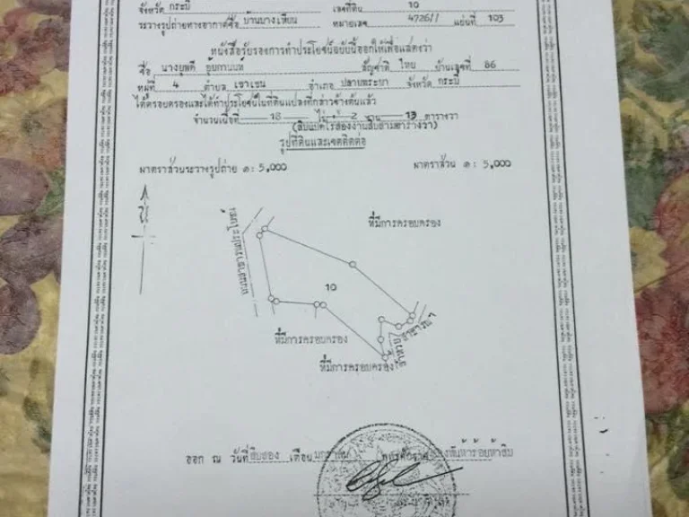 ขายสวนปาล์ม 18ไร่เศษ ที่ดินเป็น นส3ก