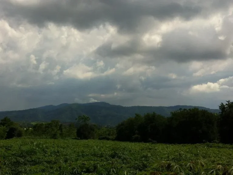 ขายที่ดิน 10 ไร่ เขาใหญ่ บ้านสระน้ำใส ติดถนนลาดยาง ด้านหลังติดคลองลำรางเล็ก วิวเทือกเขาใหญ่สวย ขายไร่ละ 15ล้านบาท