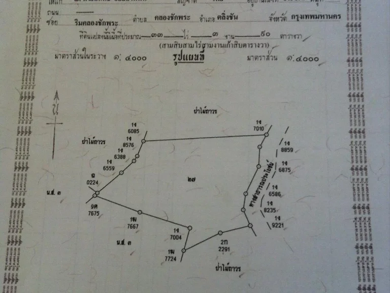 ฃื้อครึ่งได้ฟรีครึ่ง สวนยางเนื้อที่ครอบครอง60ไร่