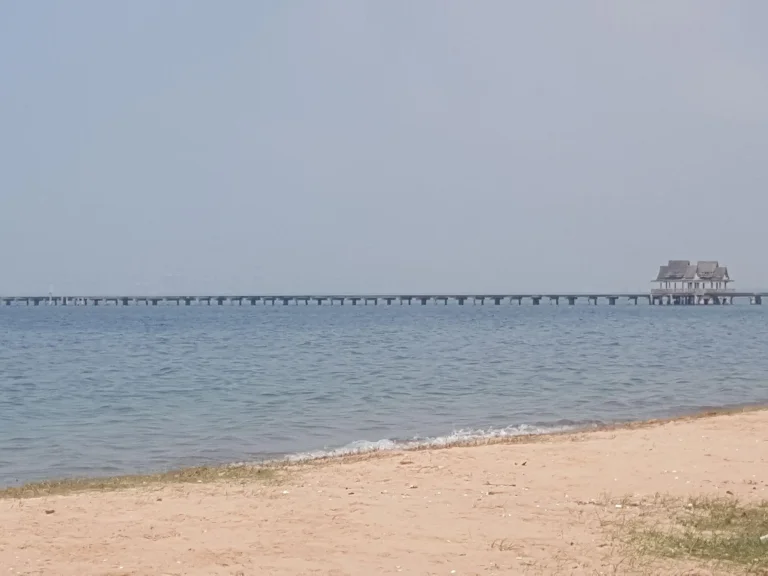 ขายที่ดินติดทะเล หาดส่วนตัว พัทยา เดินลงทะเลได้เลย โฉนด 1 ไร่