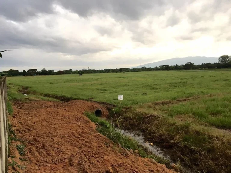 ที่นาถมอำเภอสันทราย โฉนด 60 ตรวา วิวดอยสุเทพดอยม่อนแจ่ม