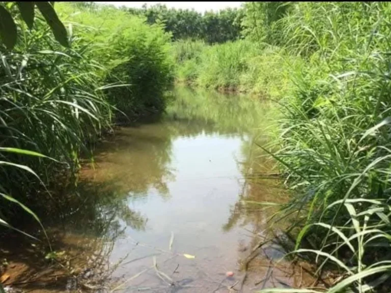 ขายที่ดินบ้านแม่เตาะติดลำห้วยวิวดอยหลวงโฉนดพร้อมโอน