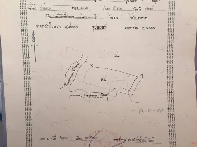 ขายถูก ที่ดิน 21 ไร่ ห้วยสาธารณะล้อมรอบ ตสะเดา อบัวเชด