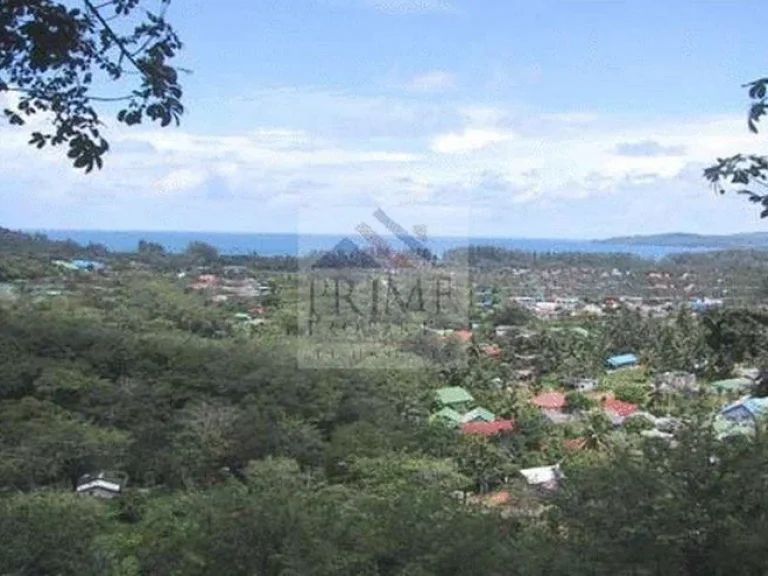 ที่ดินแถวหาดบางเทา ภูเก็ต ราคา 49 ล้านบาท