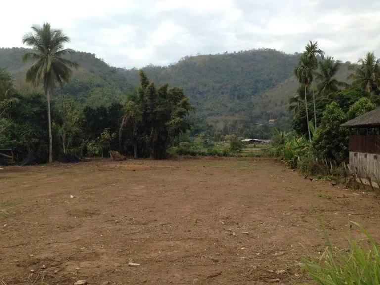 ขายที่ดินบนดอยสะเมิงปรับเรียบร้อยห่างจากอำเภอสะเมิงเพียง 500 เมตร 1-1-86 ตรวเหมาะสำหรับทำที่พักอาศัยบ้านพักรีส