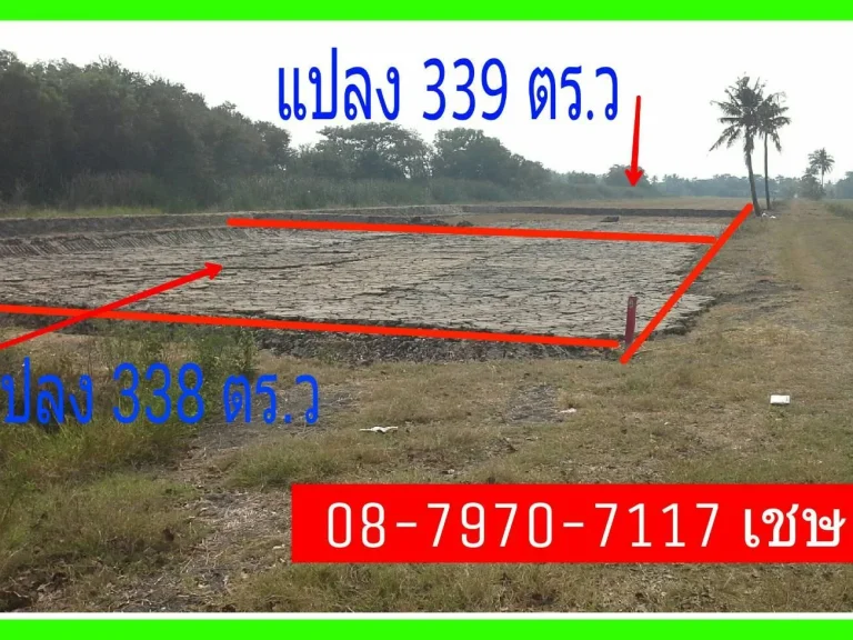 ที่สวย ถมแล้ว 169 ตร ว 3800-ตรว