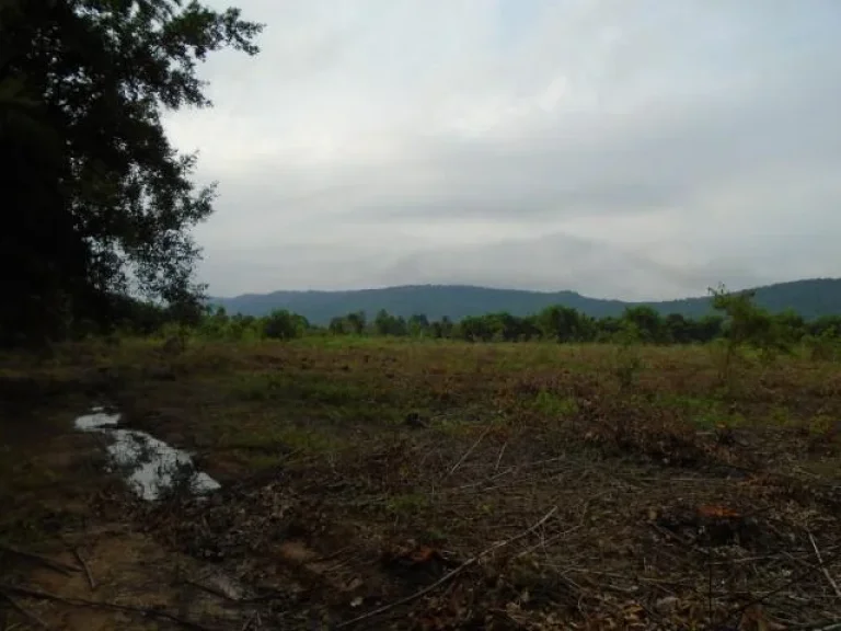 วิวเขาสวย ติดถนนลาดยางทางไปสนามกอล์ฟใกล้โตรงการหลวง ใกล้พฤกษารีสอร์ท