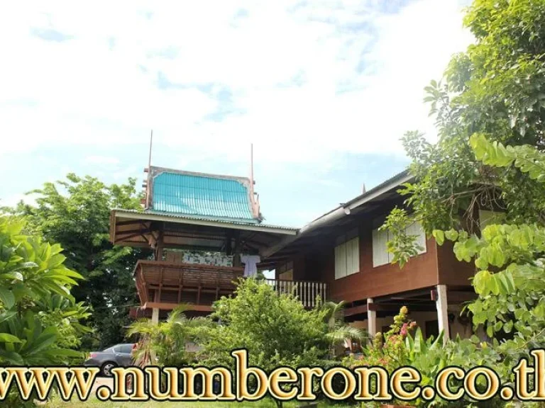 บ้านพร้อมที่ดิน 9 ไร่ 2 งาน 41 ตรว ตบ้านป้อม จอยุธยา ราคา 30 ล้านบาท