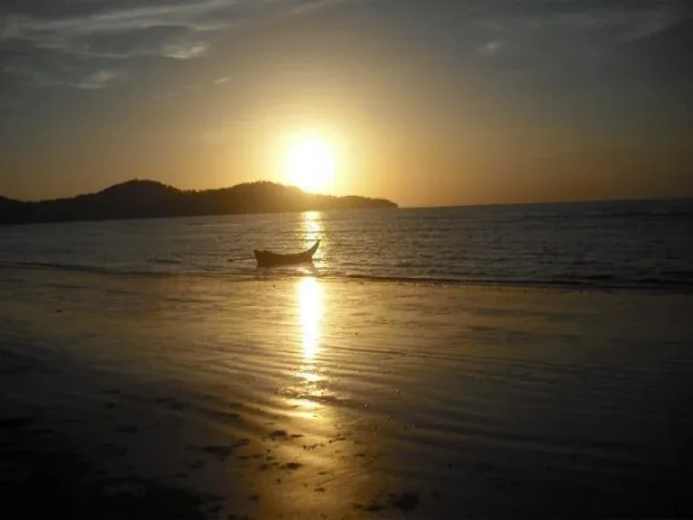 ขายที่ดินติดชายหาดทุ่งนางดำ