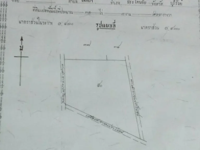 ขายที่ดิน ทำเลงาม ตโคกม้า อประโคนชัย จวบุรีรัมย์ เนื้อที่ 31 ไร่ 3 งาน 26 ตรวขายยกแปลง