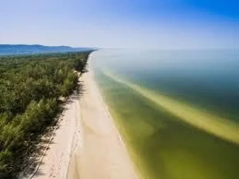 ขายที่ดิน300ไร่ สวย หาดทรายสวยละเอียด พื้นที่เศรษฐกิจ ตไม้รูด จตราด