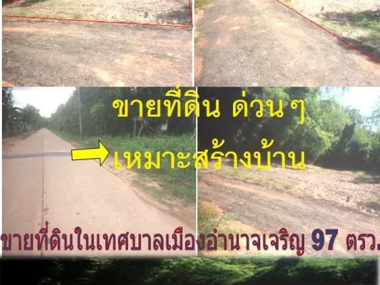 ที่ดินเปล่าเทศบาลเมืองอำนาจเจริญ ถุกๆๆๆเนื้อที่ 97 ตรว เหมาะสร้างบ้าน