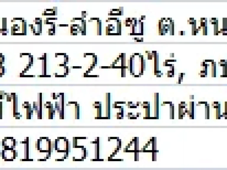 ที่ดิน 236-1-52 ไร่ ตหนองรี อบ่อพลอย จกาญจนบุรี ติดถนนลาดยาง สายหนองรี-ลำอีซู