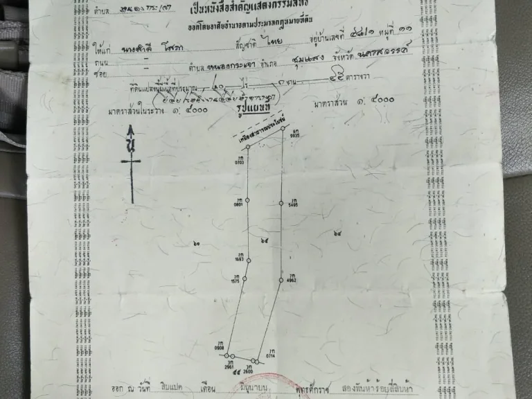 ขายที่ดิน 20 ไร่ 1 งาน 45 ตารางวา โฉนด ไร่ละ 100000 บาท