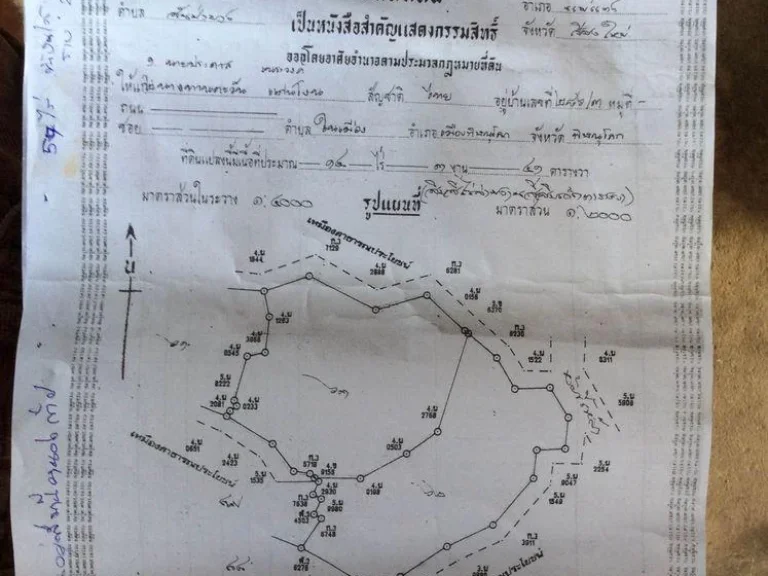 ขายที่ดิน อแม่แตง เชียงใหม่ นาขั้นบันได สวยๆ น้ำดี 57ไร่ แบ่งขายได้