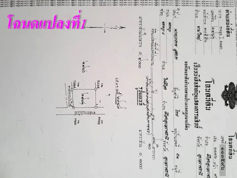 ที่ดินว่างเปล่า ทำเลชุมชนเมืองใหม่ 298 ตารางวา