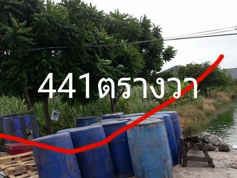 ที่ดินในซอยแพรกษา4เนื้อที่441วาๆละ15000เหมาะสำหรับสร้างอู่โกดังโรงงานและอื่นๆเข้าซอย150เมตร