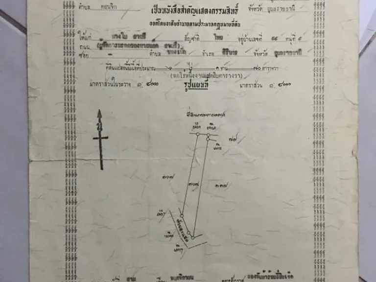 ขายที่ดินด่วน 65 ไร่