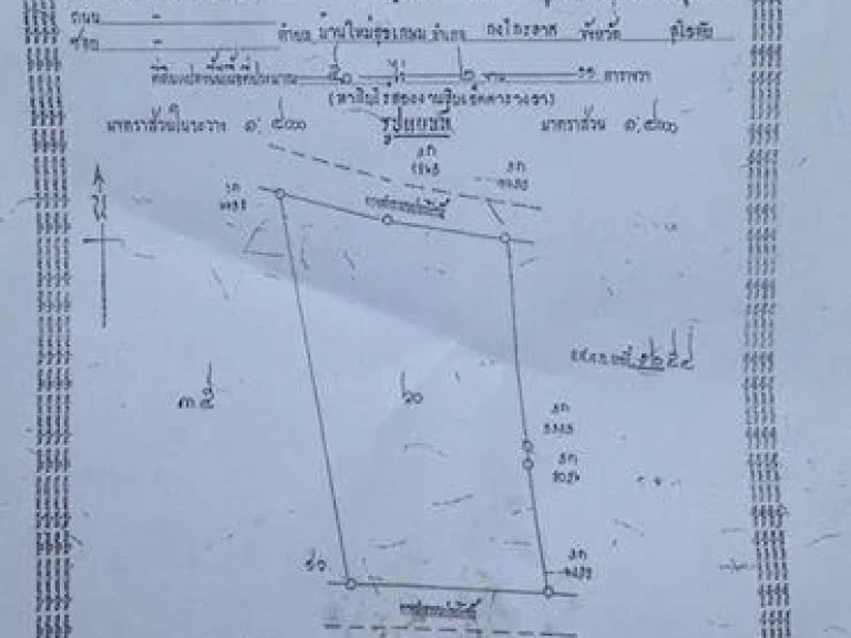 ขายด่วน ที่นา อกงไกรลาศ จสุโขทัย 50 ไร่