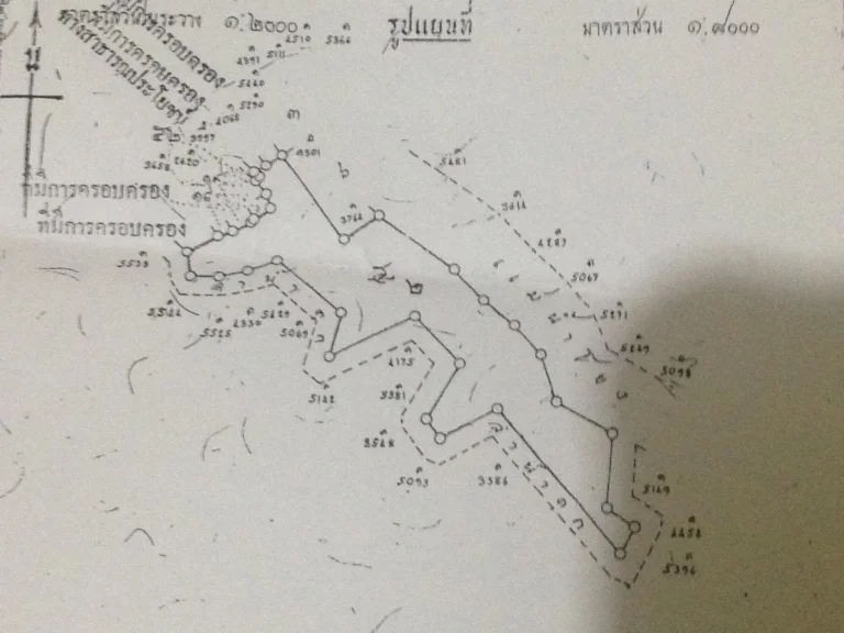 ขายที่ดินติดน้ำโขง 68-3-21