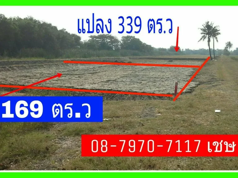 ที่สวย ถมแล้ว ถูก 169 ตรว3800-ตรว