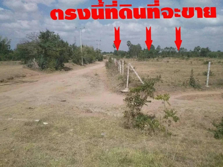 ที่ดินอยู่ห่างถนนลาดยาง 120 เมตร ที่สูงไม่ต้องถม สภาพแวดล้อมดีมีเพื่อนบ้าน