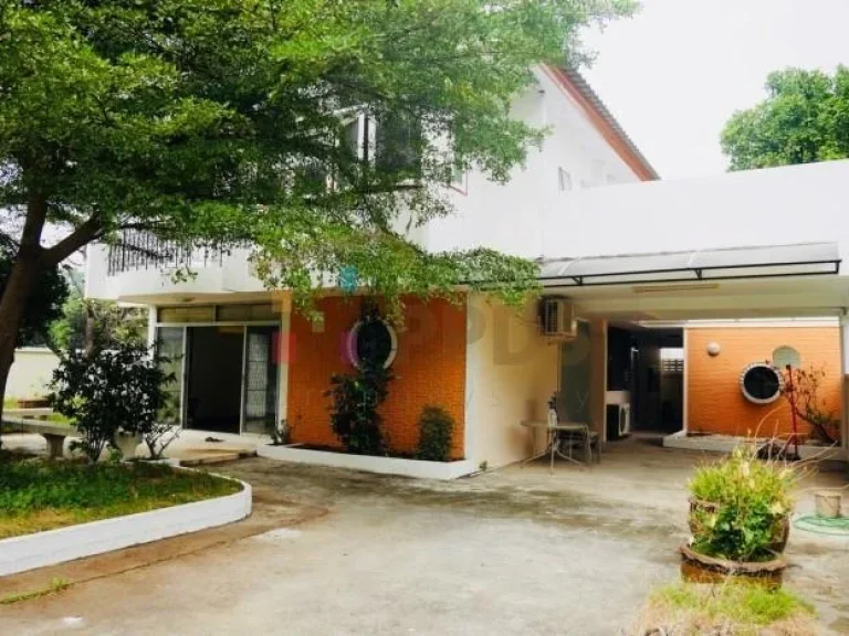 Single House with yard for rent on Sukhumvit road close to Punnawithi BTS Station