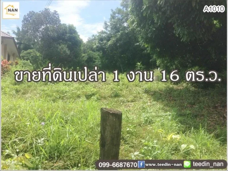 ขายที่ดินเปล่า เนื้อที่ 1 งาน 16 ตรว บ้านดู่ใต้