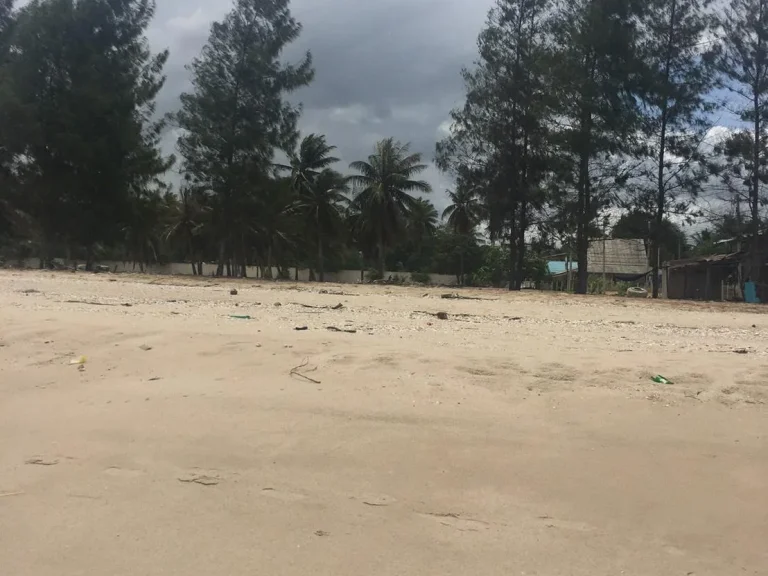 ขายที่ดินติดทะเล หาดเจ้าสำราญ อำเภอชะอำ จังหวัดเพชรบุรี จำนวน 7 ไร่