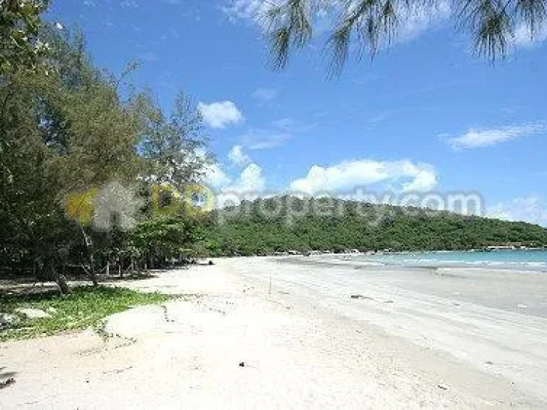 ที่ดินติดทะเล ชายหาดส่วนตัว ไม่มีถนนคั่น สวยมาก