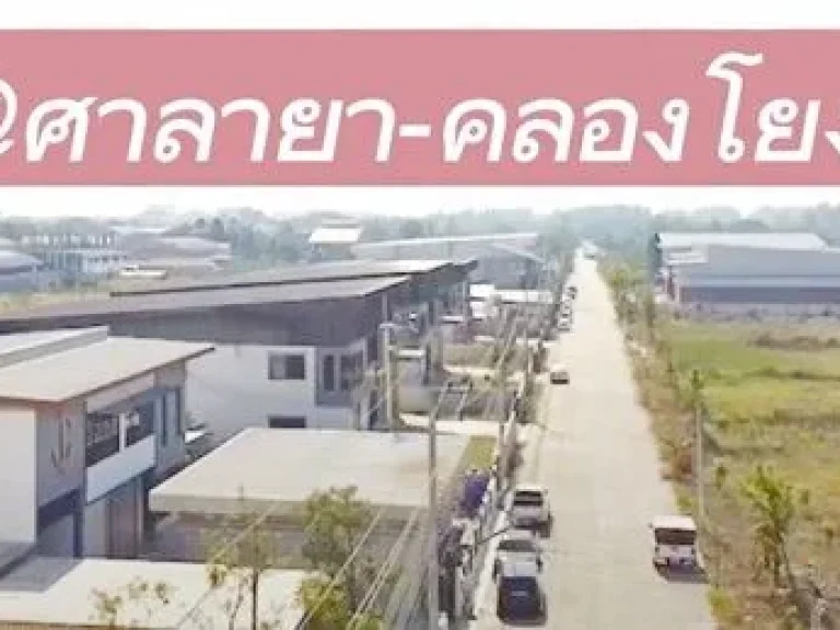 บางใหญ่ พุทธมณฑล สาย4 เช่า ขายโกดัง พร้อมออฟฟิศ 2 นอน 501