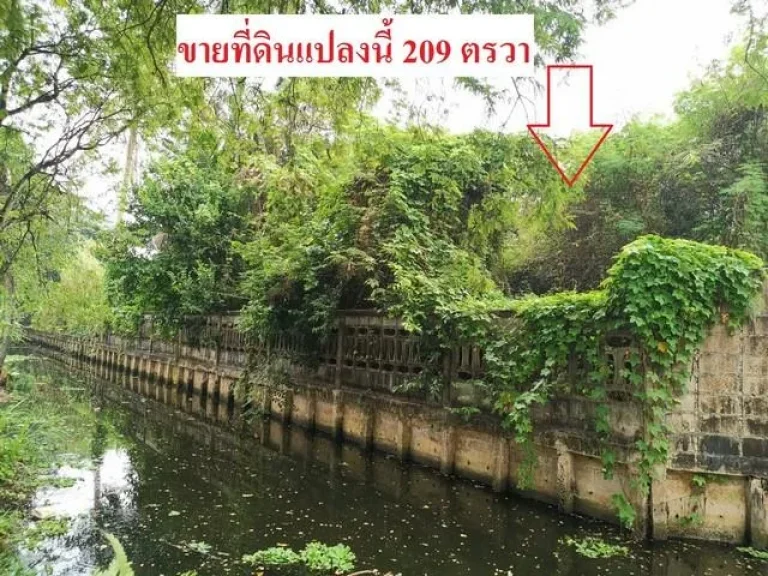 ขายที่ดิน 209 วา หมู่บ้านมหาดไทย 1 บนถนนพุทธมณฑลสาย 1 ราคาถูกมาก