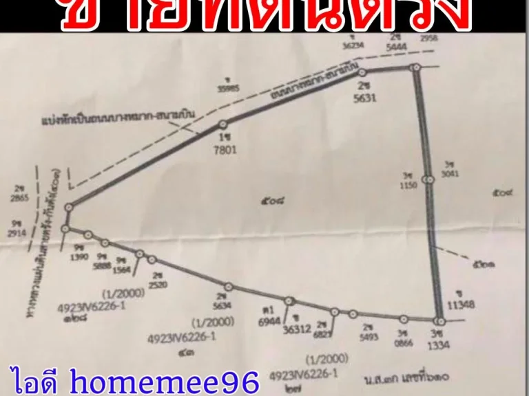 ขายที่ดิน 40ไร่ ที่ตรังต่อไร่ถูก