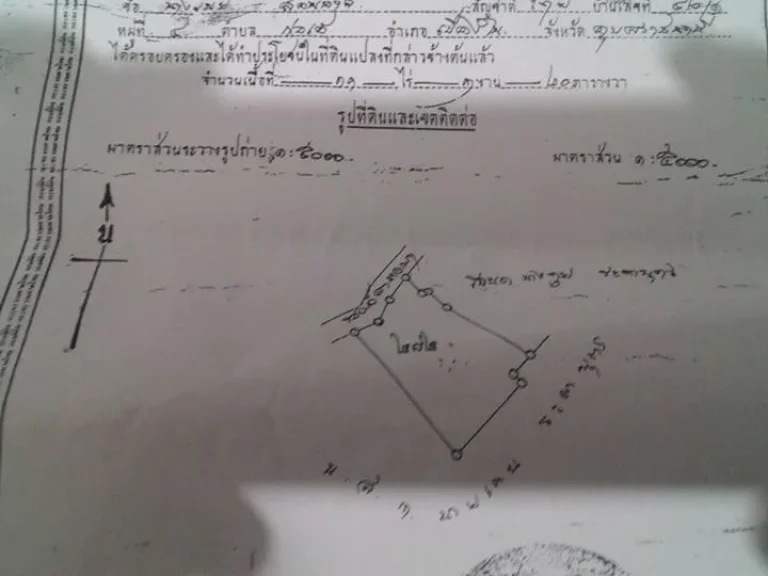 ขายที่นา 2 แปลง รวม 20 ไร่