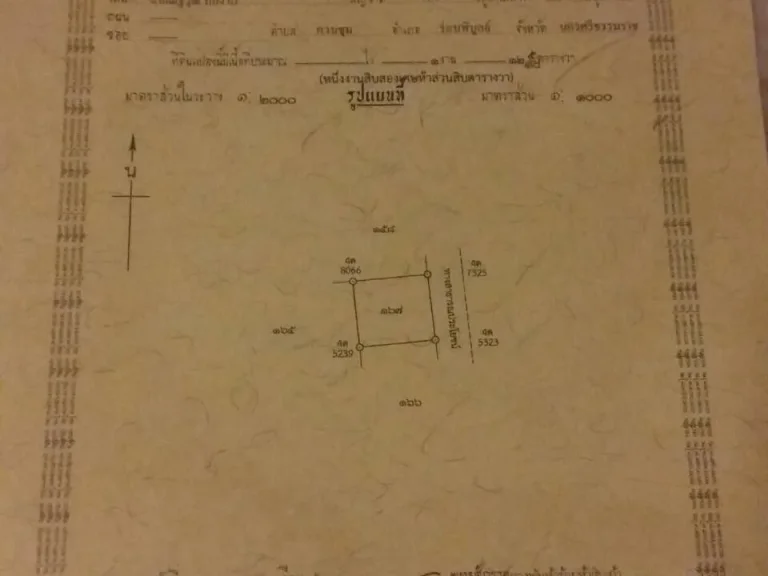 ขายที่ดิน1แปลง จำนวน 1งาน125ตรว