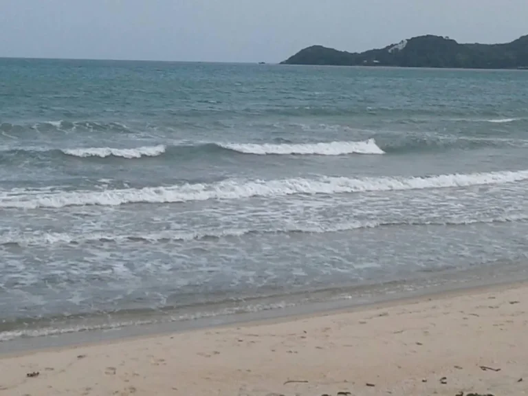 ขายที่ดินติดทะเล บ้านฉาง 31 ไร่ เดินลงชายหาดได้เลย