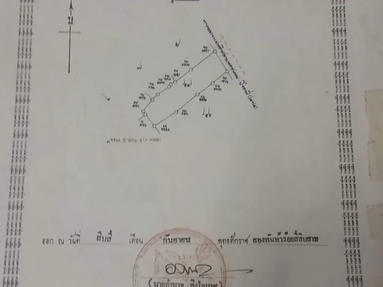 ขายที่ติดทางหลวงแผ่นดิน7ไร่2งาน30ตรวขายไร่ละ220000ขายยกแปลง 1500000 บาทถูกที่สุดในเขตนี้
