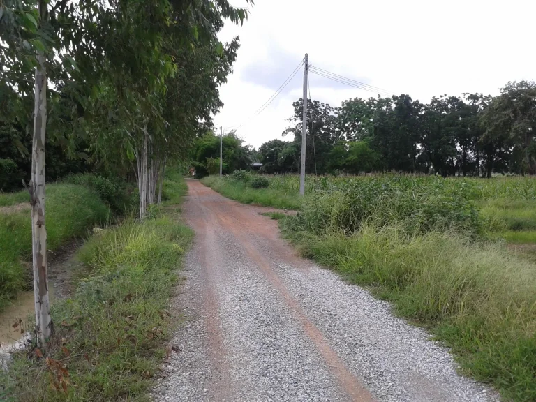 ขายที่นา 20 ไร่ๆละ 130000 ไฟฟ้าประปาถึงถนนสะดวกด่วนครับ