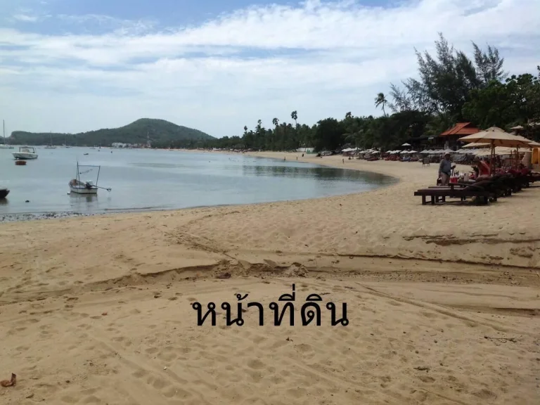 ขายที่ดิน ติดทะเลชายหาดส่วนตัว ไร่ละ 25 ล้าน ตแม่น้ำ