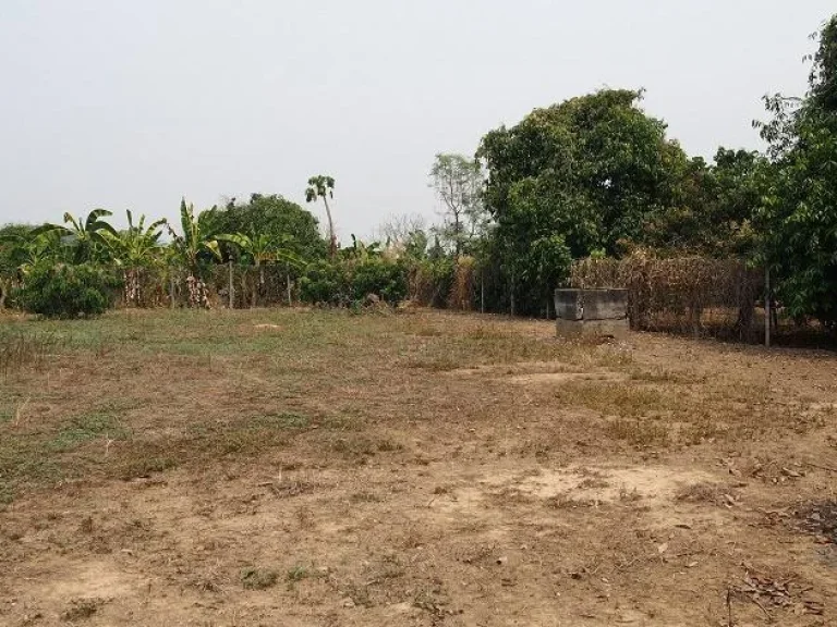 Plantation Land for Sale in Doisaket Full Chanote LS112-01