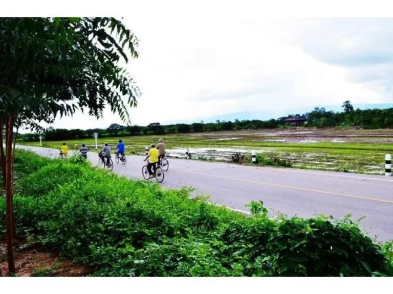 ขายที่ดินโฉนด10ไร่ ไร่ละ200000 ตท่าพล มีไฟฟ้า มีประปา ติดคลอง