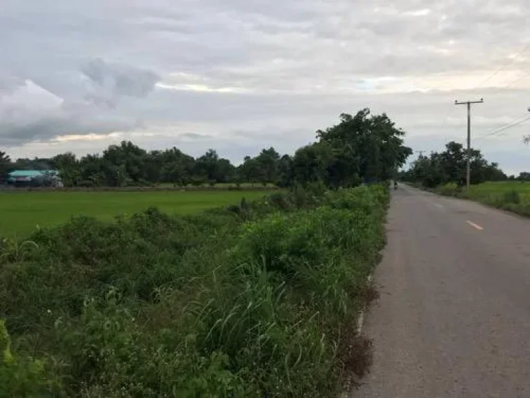 ที่ดินที่นา ติดถนนลาดยาง โฉนด อ ปากพลี