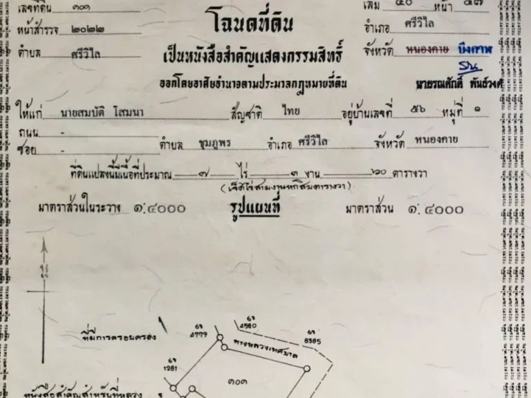 ขายที่ดินด่วน จำนวน 7 ไร่ 3 งาน 63 ตรว1600000 บาท