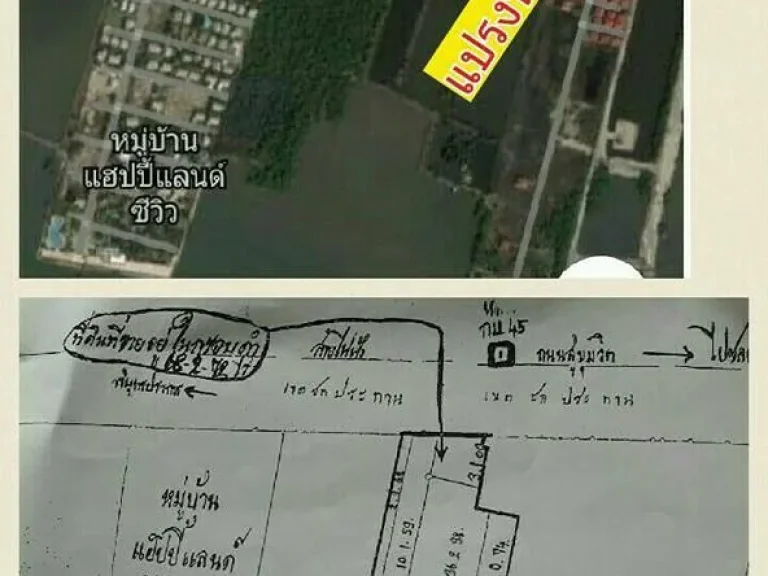 ที่ดินบางปู6868ไร่ตรางวาละ16503หน้าติดถนนสุขุมวิทหลังติดทะเลบางปูอ่าวไทยทำเลทองตรงซอยเทศบาลบางปู120