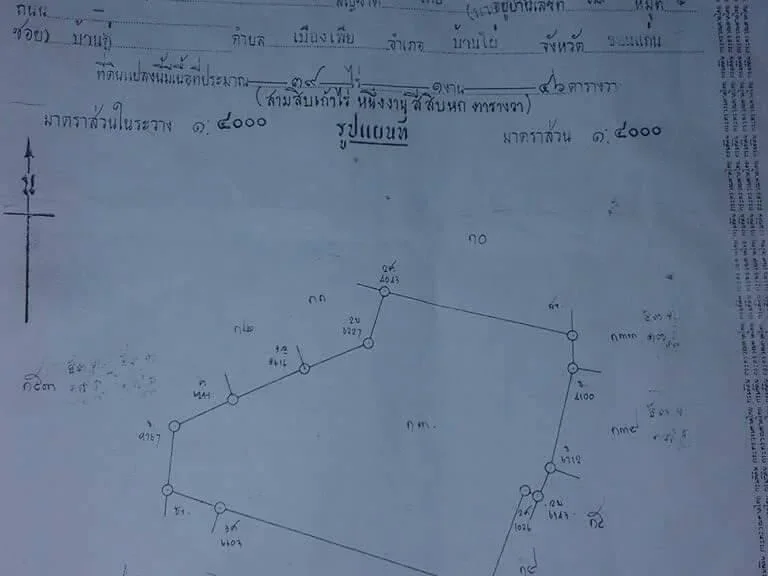 ขายที่นา 39 ไร่